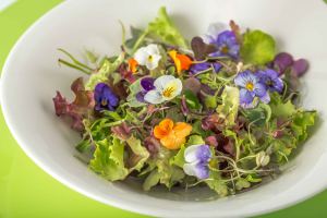 Isabel Maestre recupera los sabores olvidados gracias a proveedores 100 % ecológicos