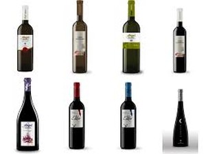 Ángel Santamaría, editor y P. Numbra, la familia de vinos de Bodegas Pagos de Leza  