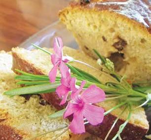 De África a las Antillas y de las Antillas a Panamá