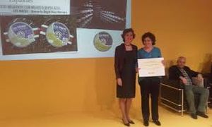 Isabel García Tejerina entrega los premios a los mejores quesos españoles 2015