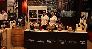 Inversiones Pucara presentará la más amplia cartera de vinos del país en la Fiesta del Vino