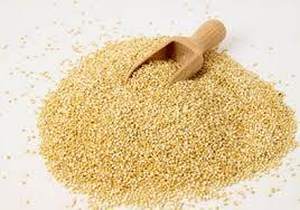 Perú planifica la ruta de la Quinua