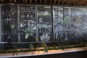  Una navidad diferente desde el corazón de la ruta del vino de rueda 