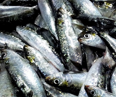 Cinco grandes ventajas de comer pescado pequeño