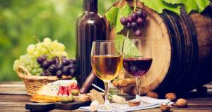 Siete conceptos básicos para andar por el mundo del vino