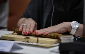 20 Aniversario de Cuaba: homenaje al torcedor 