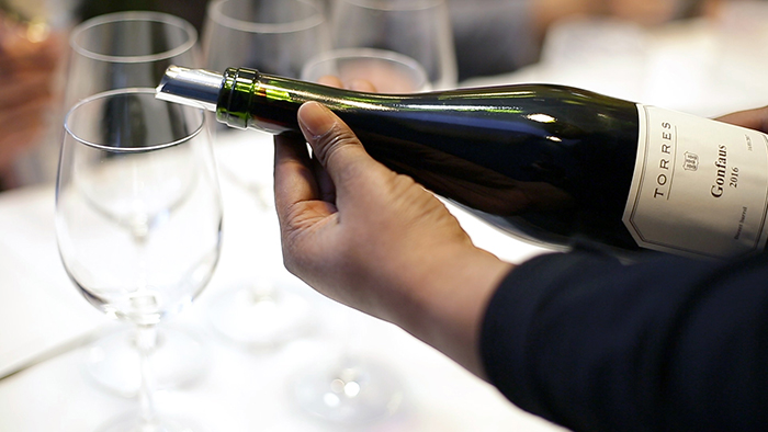 Bodegas Torres experimenta con variedades ancestrales de gran interés enológico 