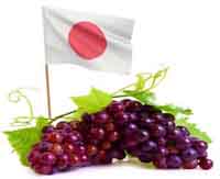 Las uvas japonesas comienzan a destacar en el sector vinícola