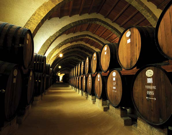 Plenitud VS Decrepitud