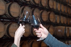 Hotel El Lagar de Isilla arranca 2016 con sus cursos de catas internacionales