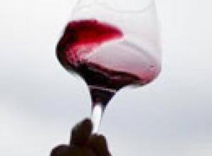 'Wine Future' congregará a un millar de especialistas del vino en Logroño