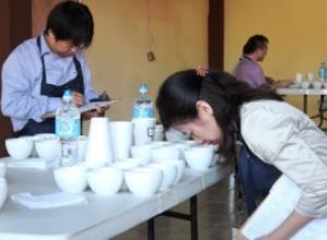 24 lotes del mejor café de Panamá están en la gran final