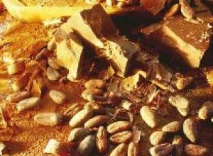 Cuba acogerá encuentro de cacao y chocolatería
