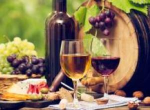 Siete conceptos básicos para andar por el mundo del vino