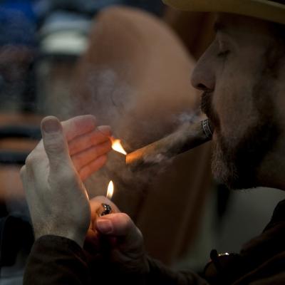 XX Festival del Habano