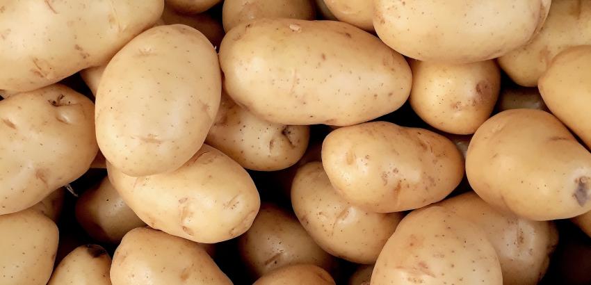 patatas 
