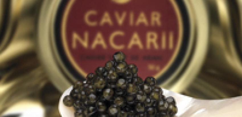 Entrevista a Sara Morales, directora de ventas de Caviar Nacarii