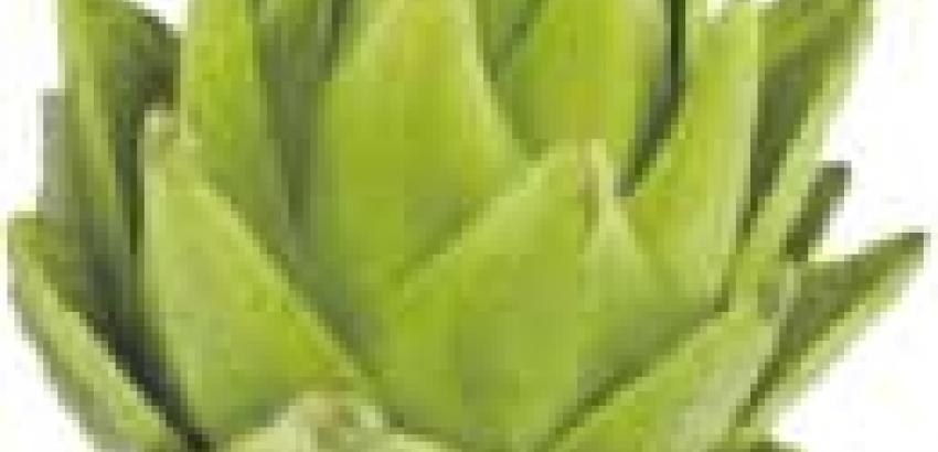 La alcachofa ecológica: manjar exquisito en nuestra gastronomía