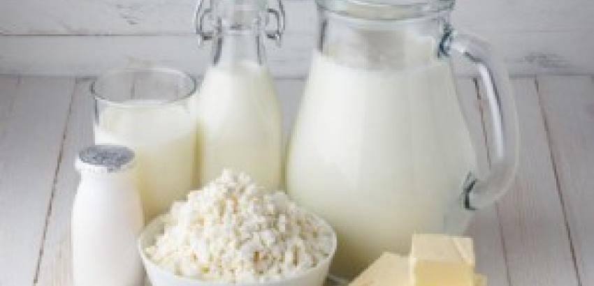 ¿Sabías que consumimos lácteos desde hace más de 11.000 años?