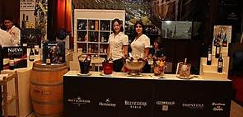 Inversiones Pucara presentará la más amplia cartera de vinos del país en la Fiesta del Vino