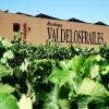  VALDELOSFRAILES, vino ‘first class’