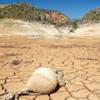 El mundo pudiera quedarse sin comida por la escasez de agua